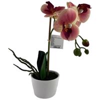 Orchidej - mix 3 barev 30 cm