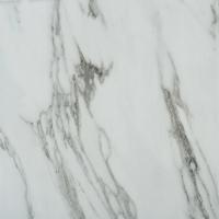 Podlahová dlaždice PREMIUM MARBLE 2745047