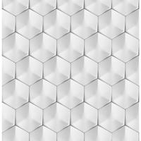 Skleněný panel 60/60 Polar Hex Esg