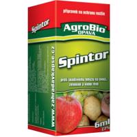 Spintor