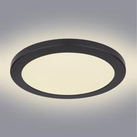 Stropne Svítidlo 12379-24B LED 24W D30 PL1