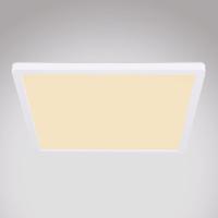 Stropni Svitidlo 41563-24W LED bílý PL