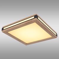 Stropní svítidlo 41589D1 LED 12W PL1