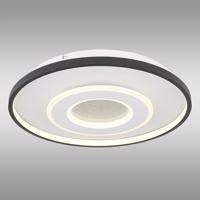 Stropní svítidlo Brienna 48552D LED PL1