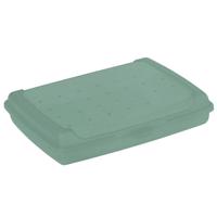 Svačinový box Click-Box mini nordic green 17x13x3,5 0,5 l